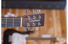 Thương hiệu Tanglewood và những cây guitar acoustic nổi bật