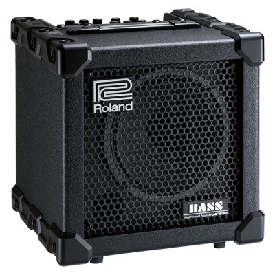 Roland Bass Cube-20XL