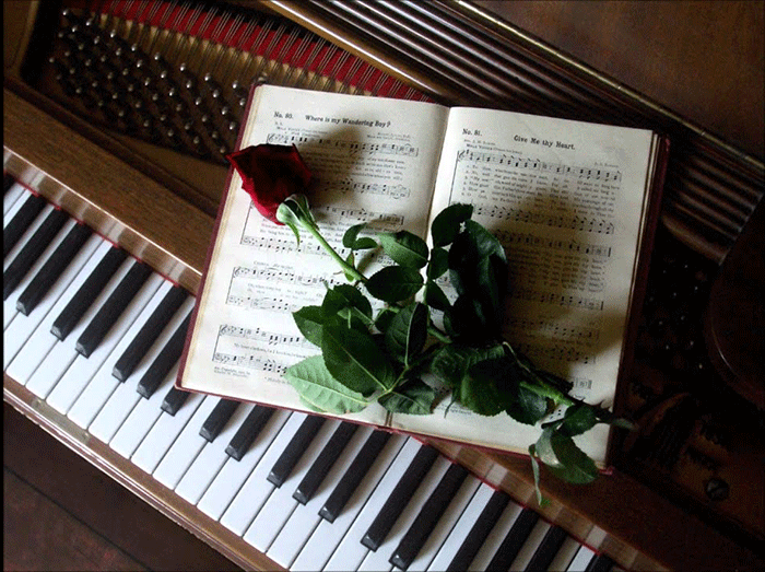 7 bước cơ bản giúp bạn tự học Piano hiệu quả tại nhà