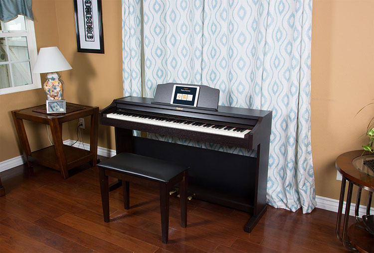 Nên mua đàn organ/keyboard hay piano điện khi bắt đầu học đàn?