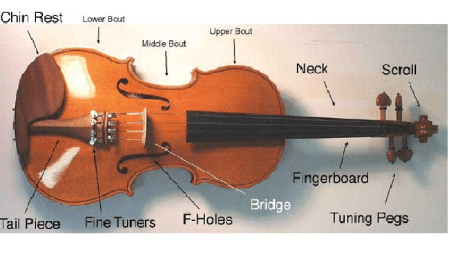 Các bộ phận của đàn violin