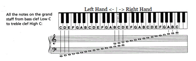 Cần nắm vừng các nốt nhạc trên đàn Organ