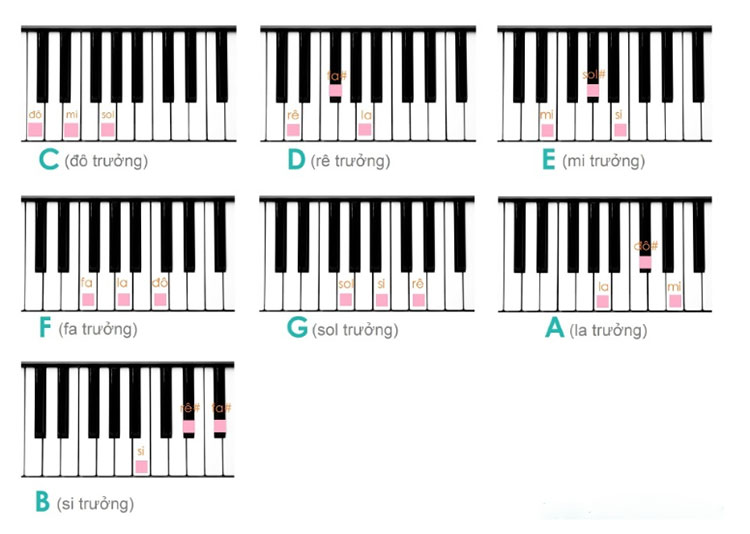 7 hợp âm trưởng trên đàn Piano