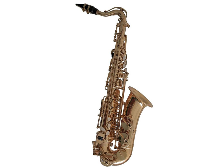 Conn AS655 Student Eb Alto Saxophones