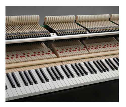 Phím đàn được thiết kế dài hơn để giúp bạn chơi đàn dễ dàng hơn